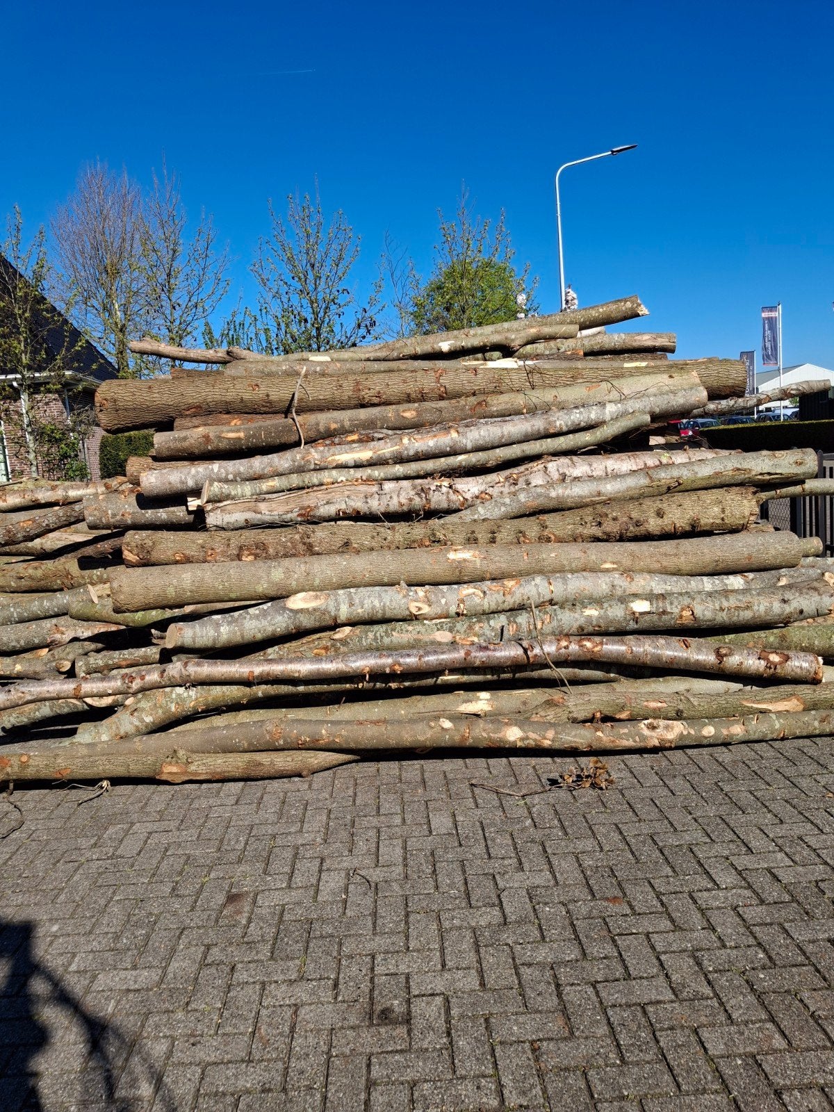 Haardhout  stammen 3 tot 5 meter gemengd es,els ,berk en eik, 6 m³ of meer, Ophalen of Verzenden, Stammen