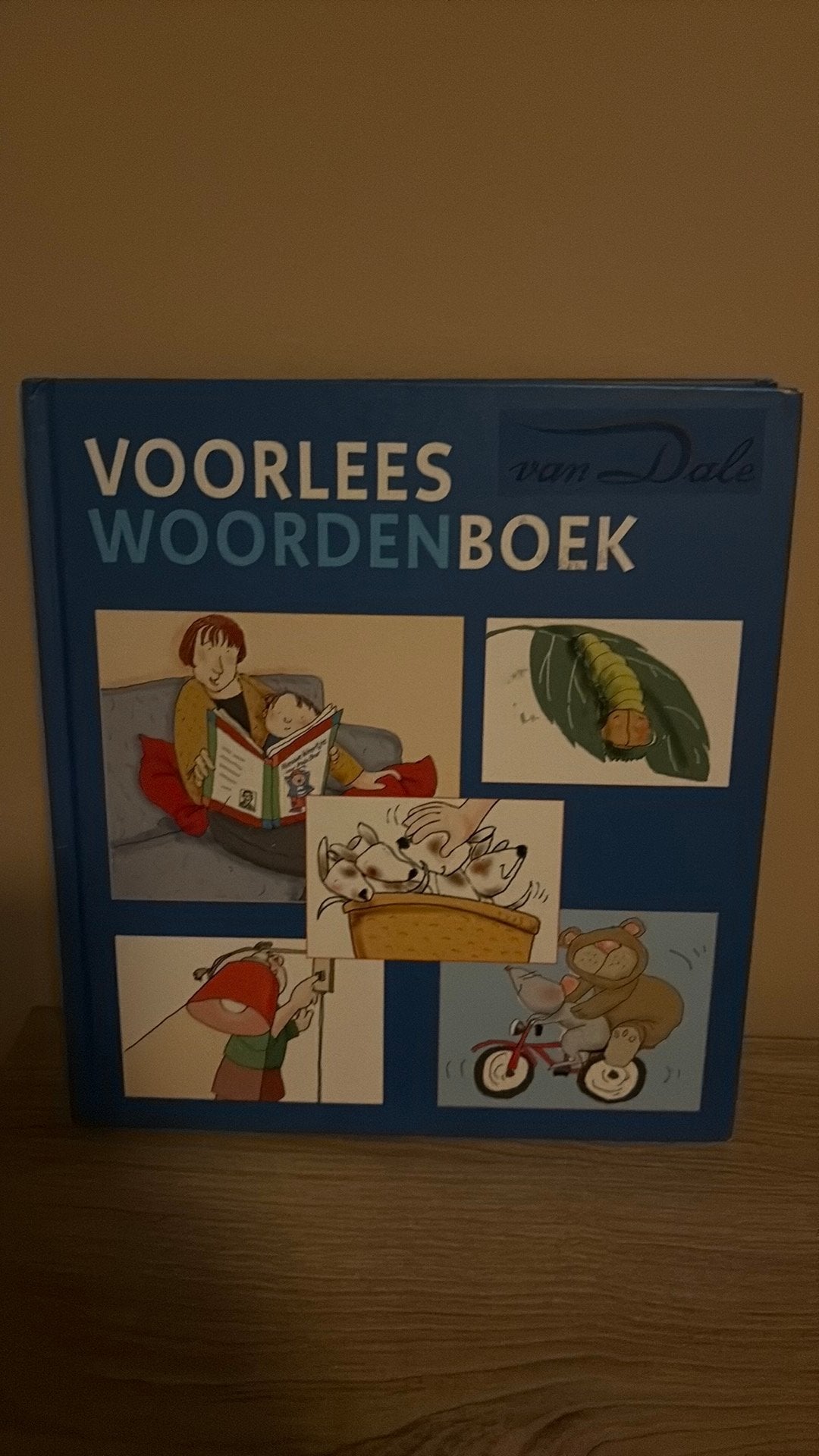 Van Dale Voorleeswoordenboek, Ophalen of Verzenden, Gelezen, 2 tot 3 jaar