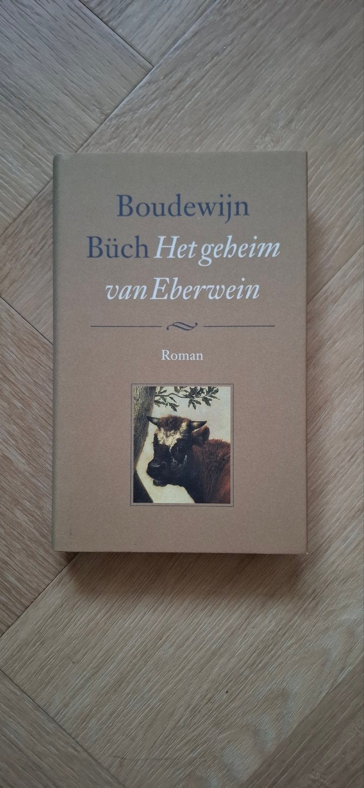 Boudewijn Büch - Het geheim van Eberwein (Roman), Ophalen of Verzenden, Zo goed als nieuw, Boudewijn Büch, Nederland