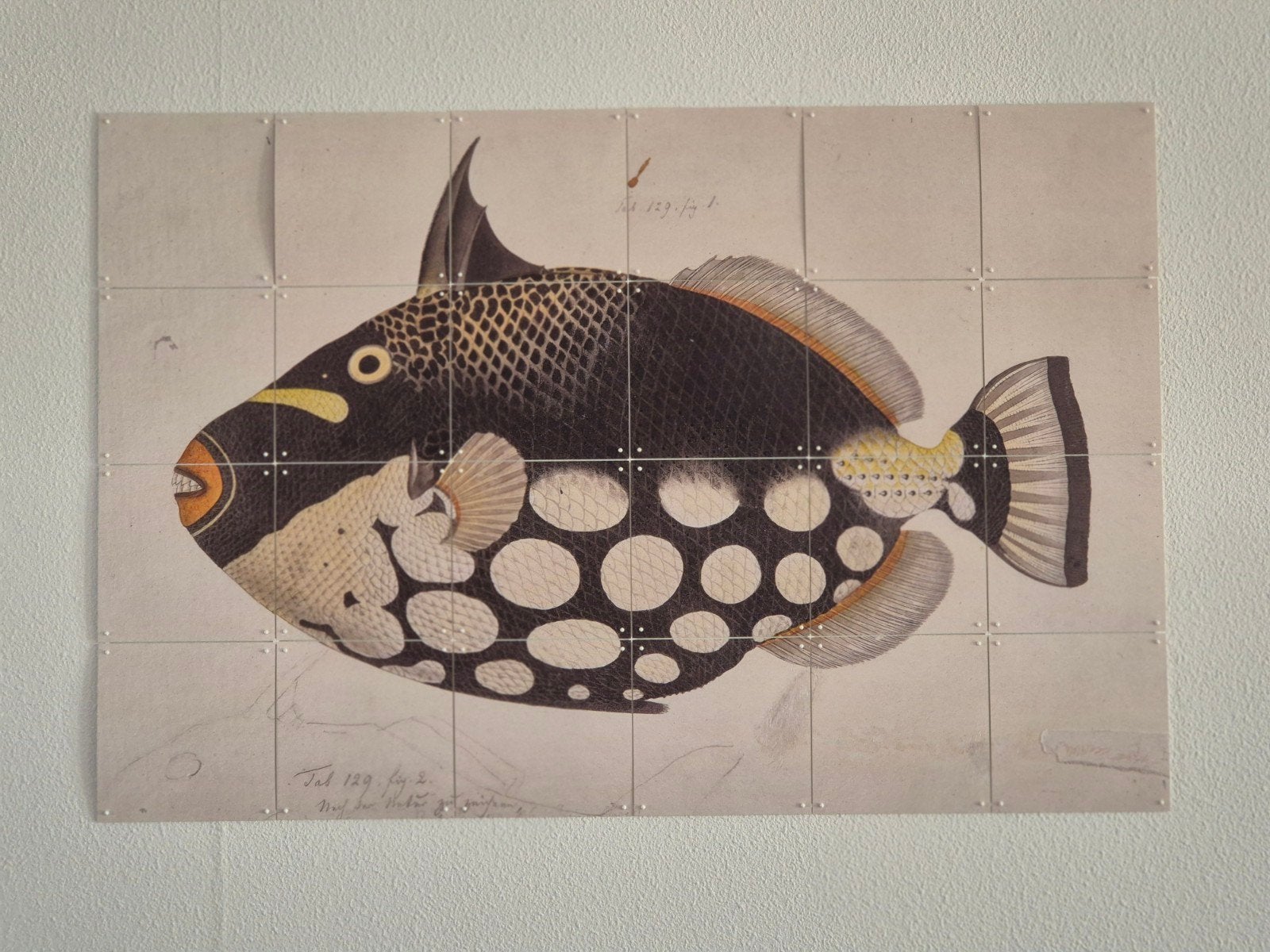 IXXI Schilderij - Tropische Vis, Meerkleurig, Kunststof, Ophalen of Verzenden, Zo goed als nieuw