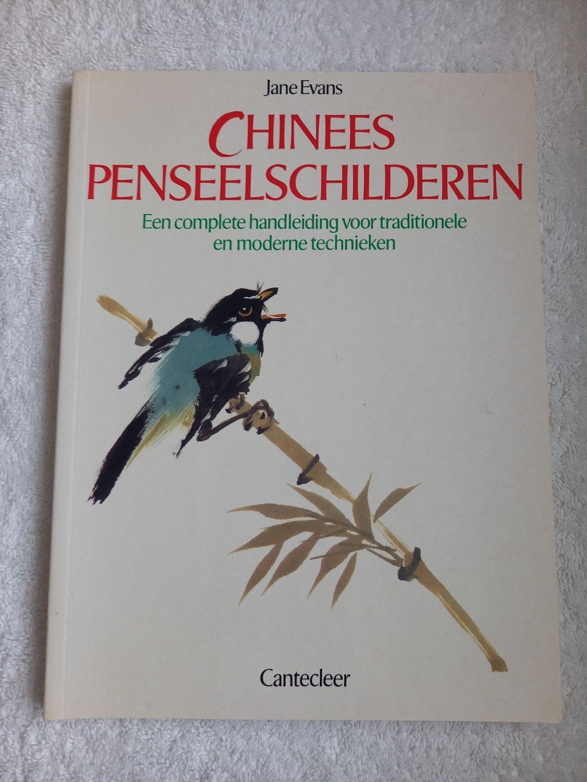 w9 Chinees Penseelschilderen - Jane Evans, Ophalen of Verzenden, Gelezen, Schilder- en Tekenkunst, Jane Evans