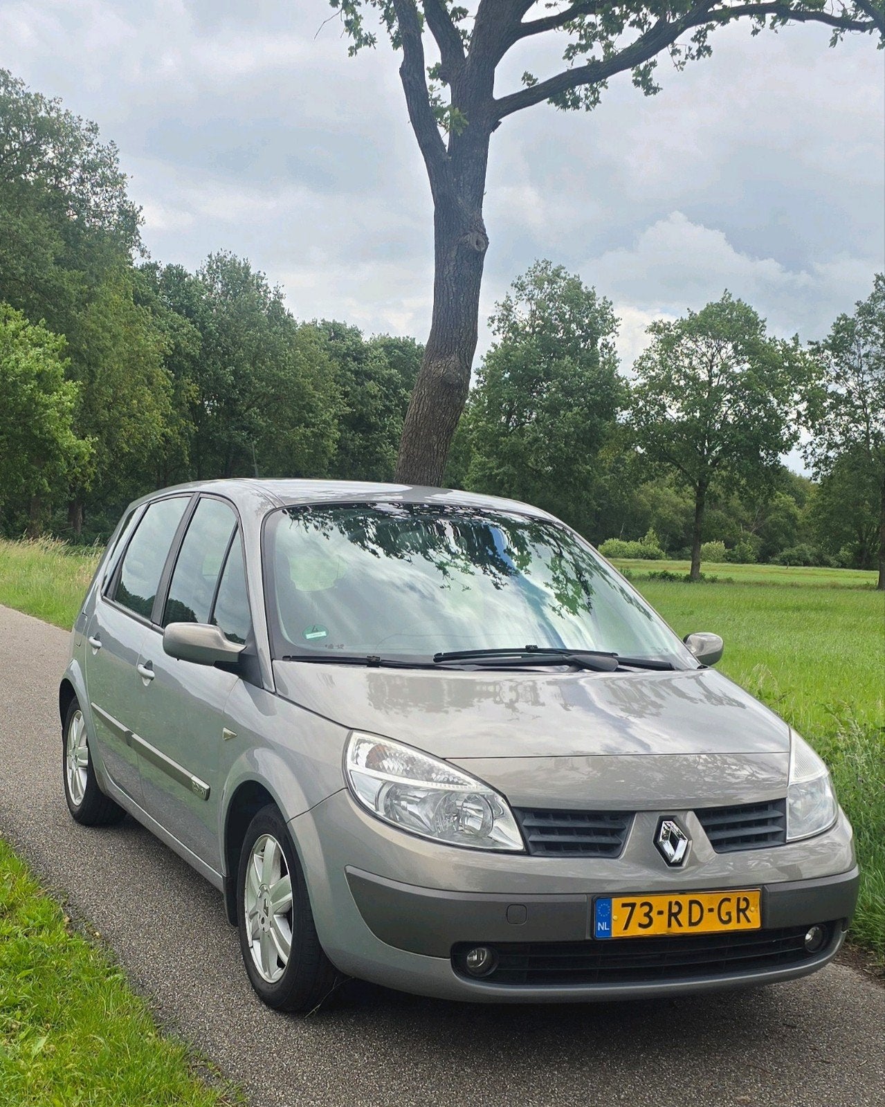 Renault Scénic 2.0 Automaat – Ruime gezinsauto met trekhaak, Auto's, Automaat, Particulier, Zilver of Grijs, Scénic