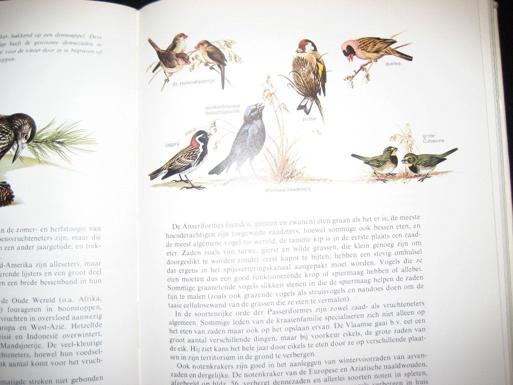 VOGELS, Ophalen, Zo goed als nieuw, Vogels
