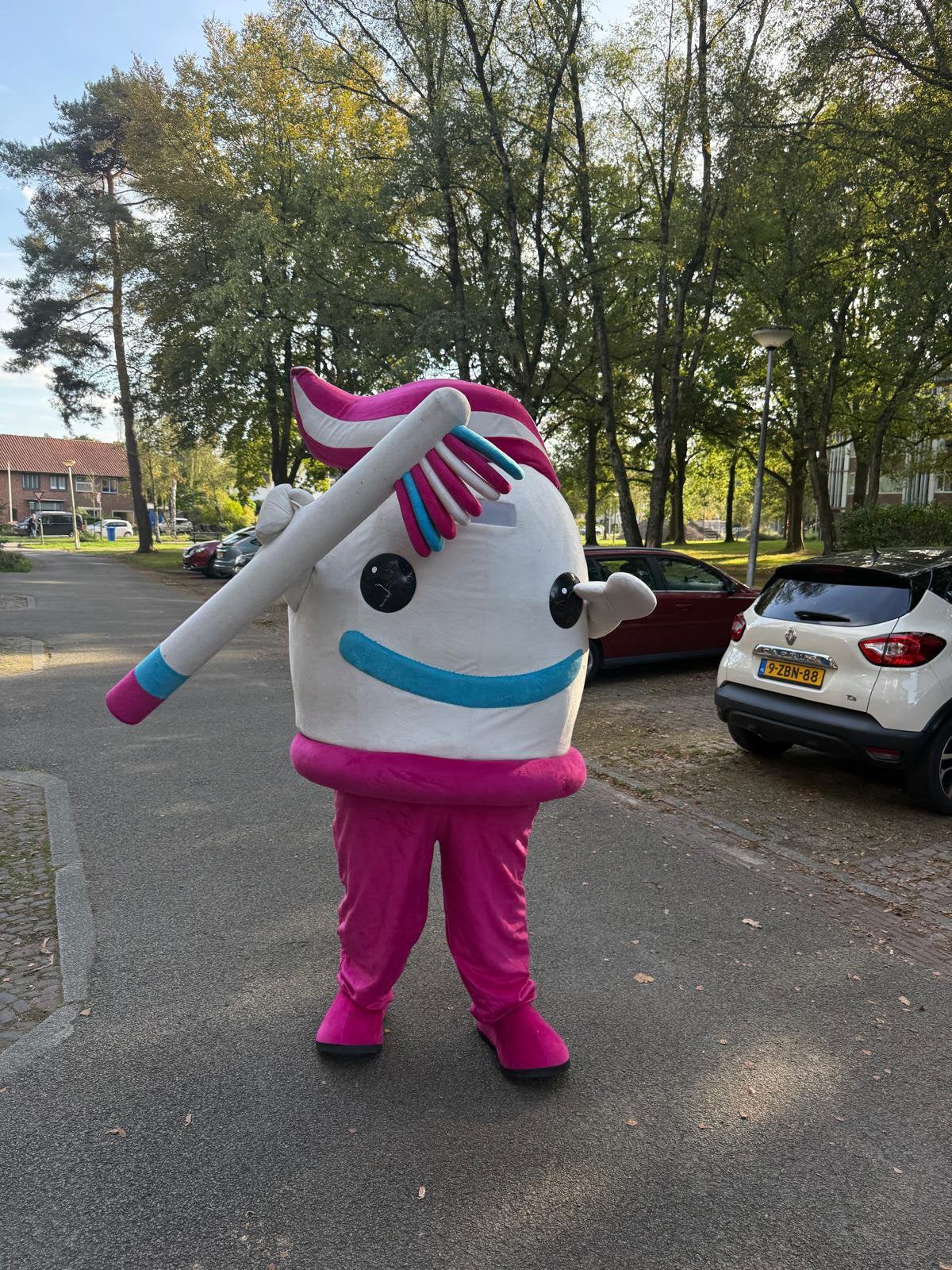 Mascotte, Ophalen of Verzenden, Overige maten