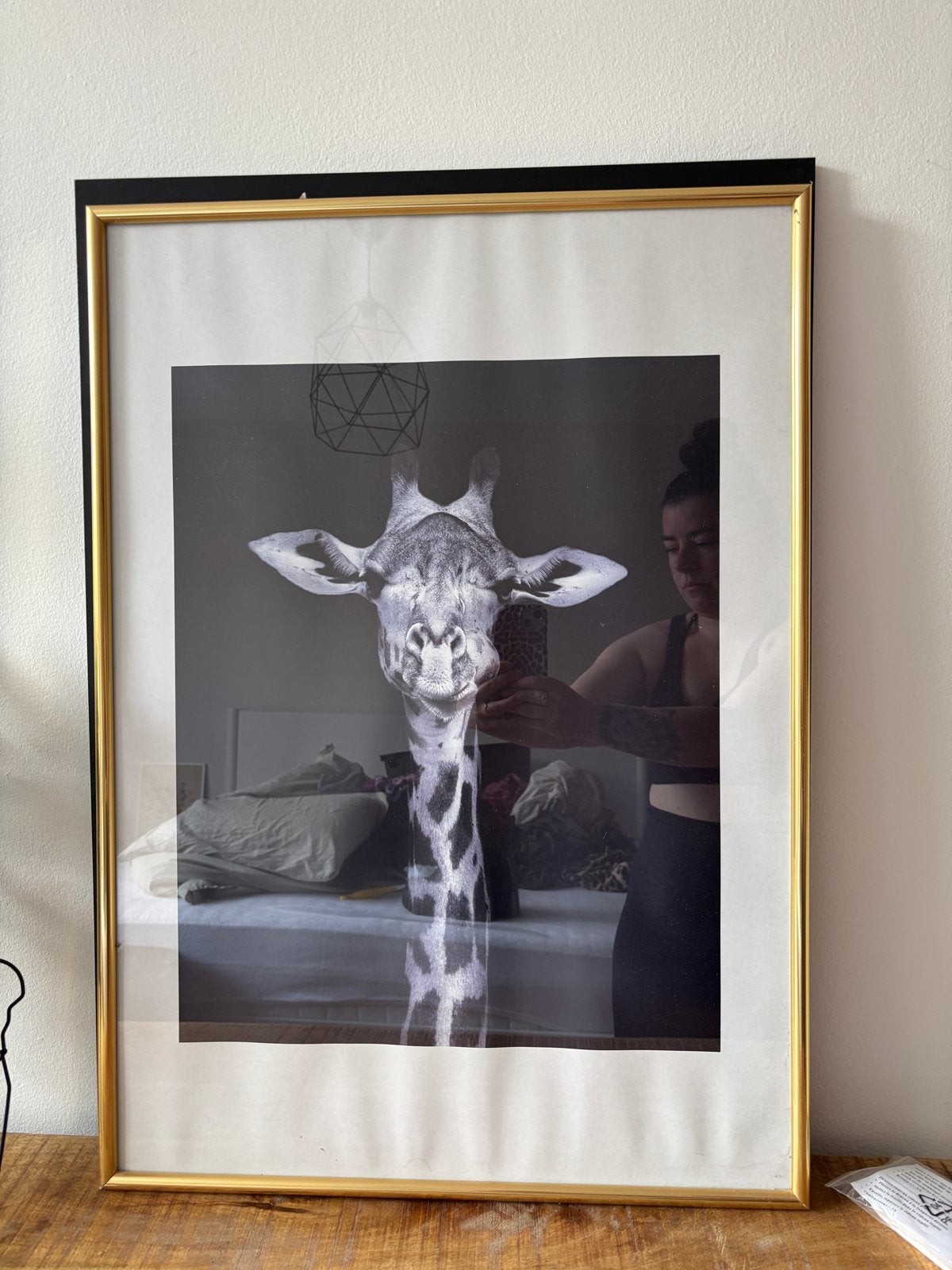 Grote poster giraffe zwart wit in gouden lijst 60x80cm, Ophalen, Gebruikt, Foto of Poster, 75 – 100