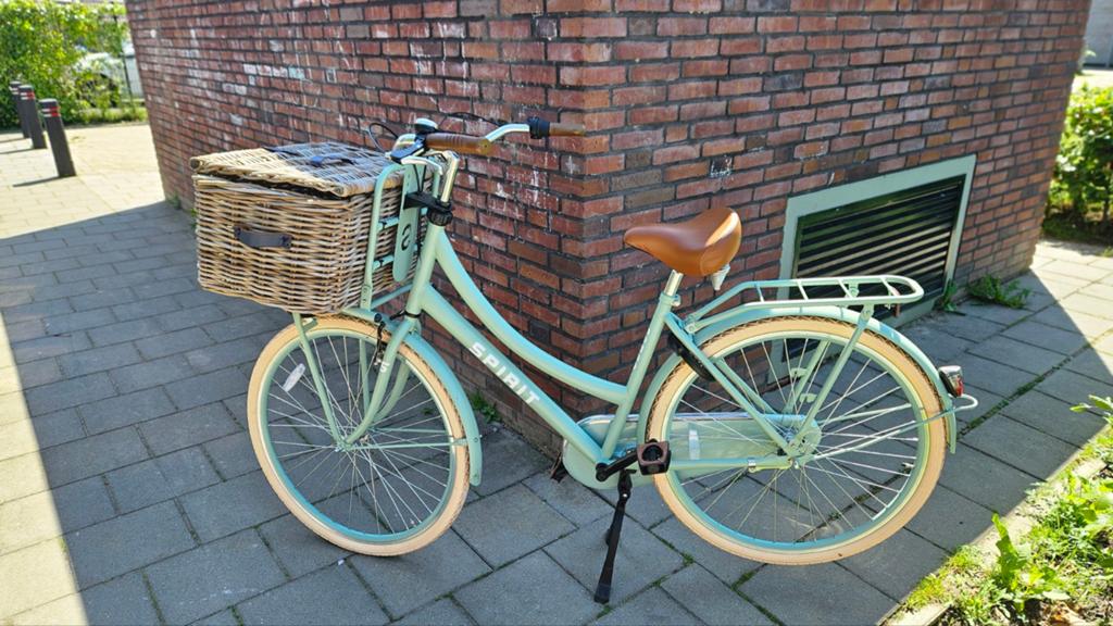 Spirit Cargo fiets - Mintgroen met mand, Overige merken, Velgrem, Versnellingen, Ophalen of Verzenden