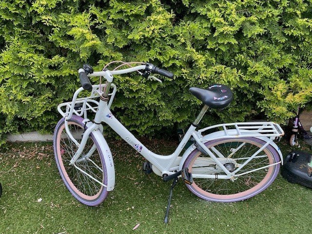 Alpina (Clubb) meisjesfiets witte kleur, Ophalen, Gebruikt, Alpina, Versnellingen
