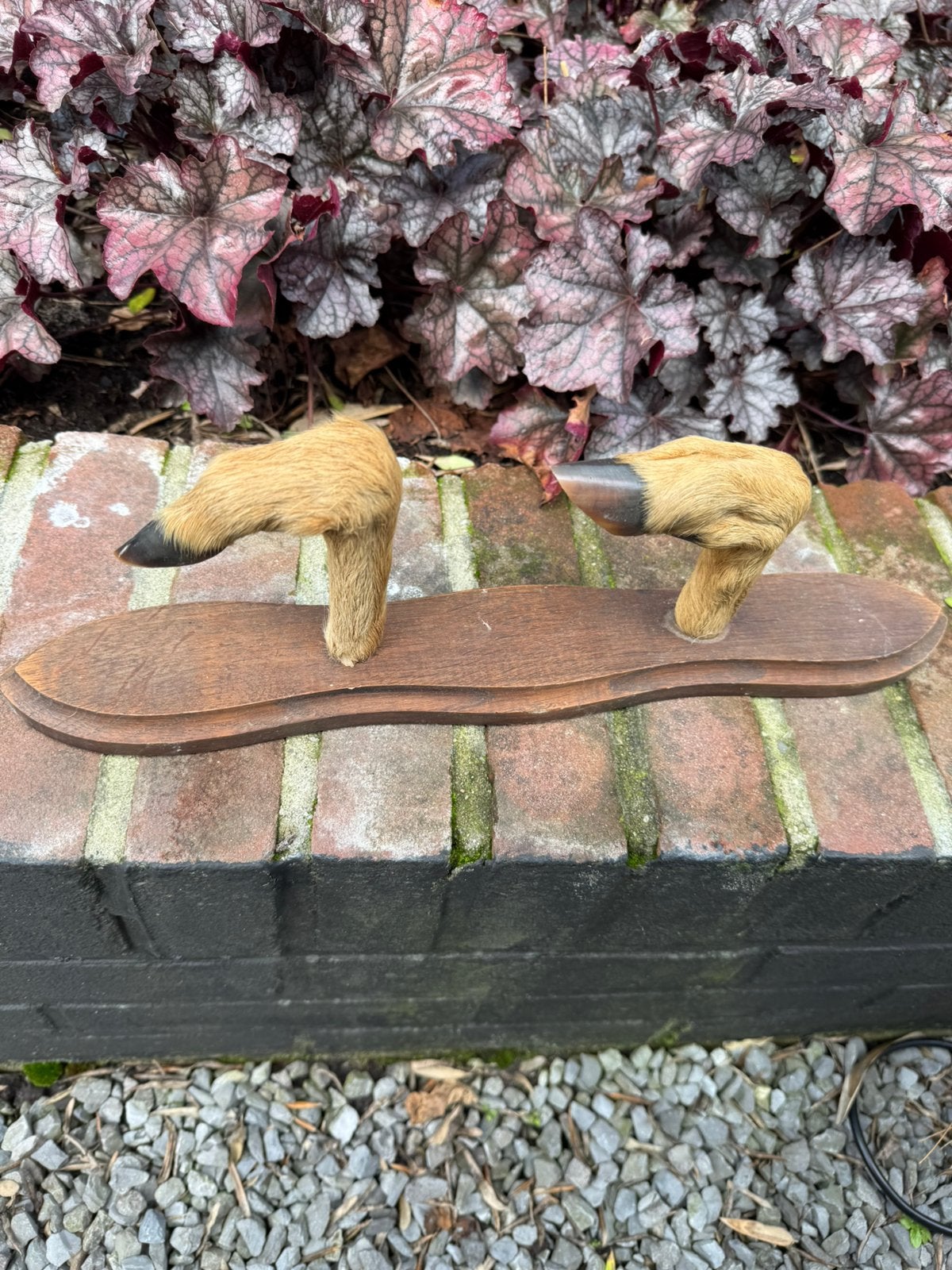 Ree pootjes op schild ., Verzamelen, Ophalen, Zo goed als nieuw, Hert, Overige typen