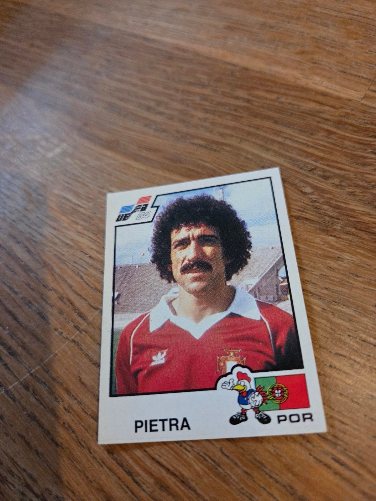 Panini EK 84, Ophalen of Verzenden, Zo goed als nieuw, Buitenlandse clubs, Poster, Plaatje of Sticker
