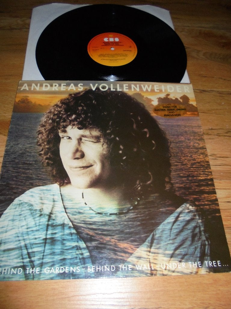Andreas Vollenweide, Ophalen of Verzenden, Gebruikt, 12 inch, LP