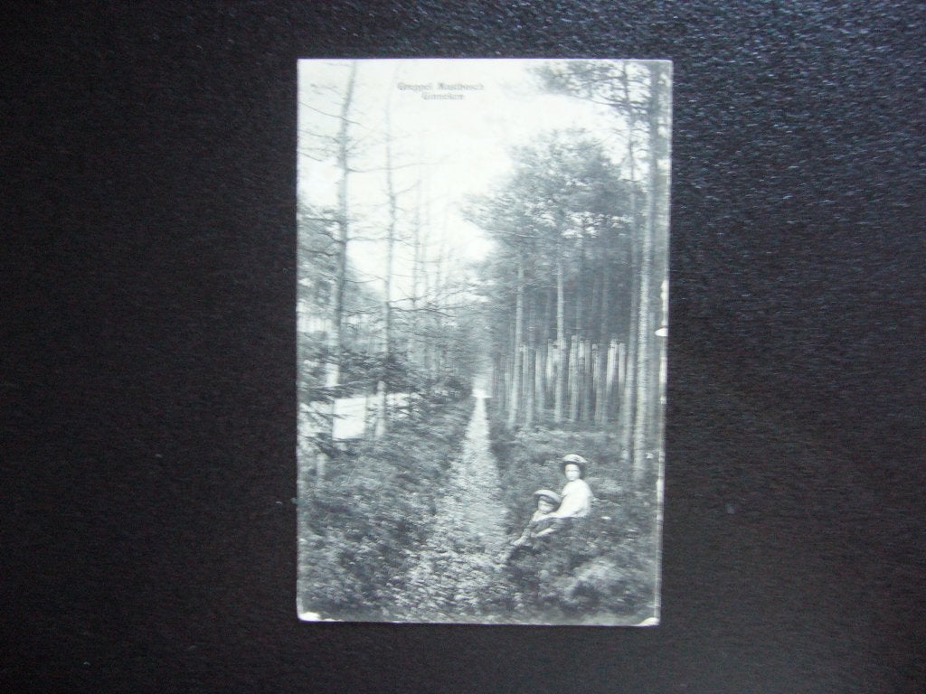 GINNEKEN  =  GREPPEL MASTBOSCH  BRIEFKAART 1912, Ophalen of Verzenden, Voor 1920, Gelopen, Noord-Brabant