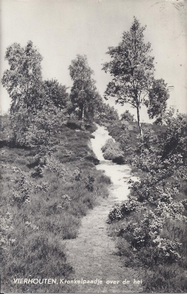 Vierhouten Kronkelpaadje Oude Gelopen Ansichtkaart( B1239, Ophalen of Verzenden, 1960 tot 1980, Gelopen