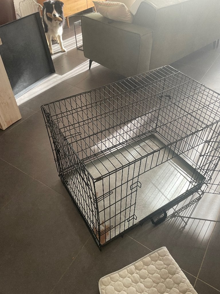 Hondenbench, Ophalen, Gebruikt