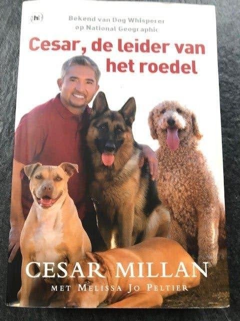 boek :ceasar milan, de hondenfluisteraar, Ophalen of Verzenden, Zo goed als nieuw, Honden