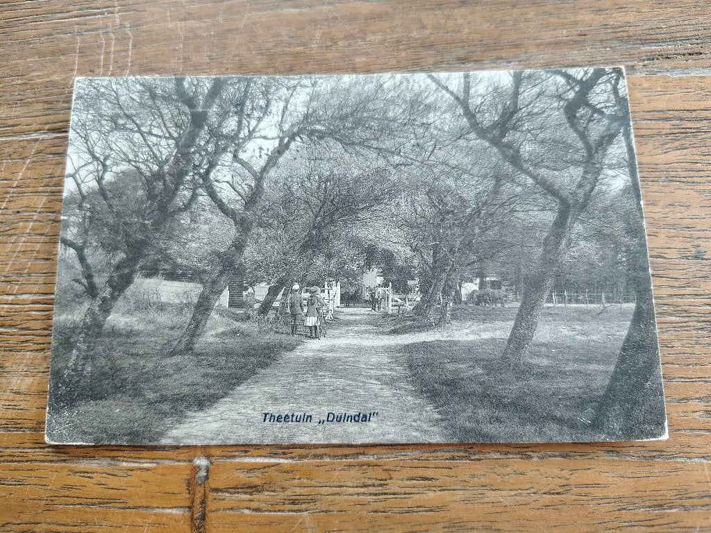 Theetuin Duindal Den haag scheveningen, Ophalen of Verzenden, Voor 1920, Zuid-Holland