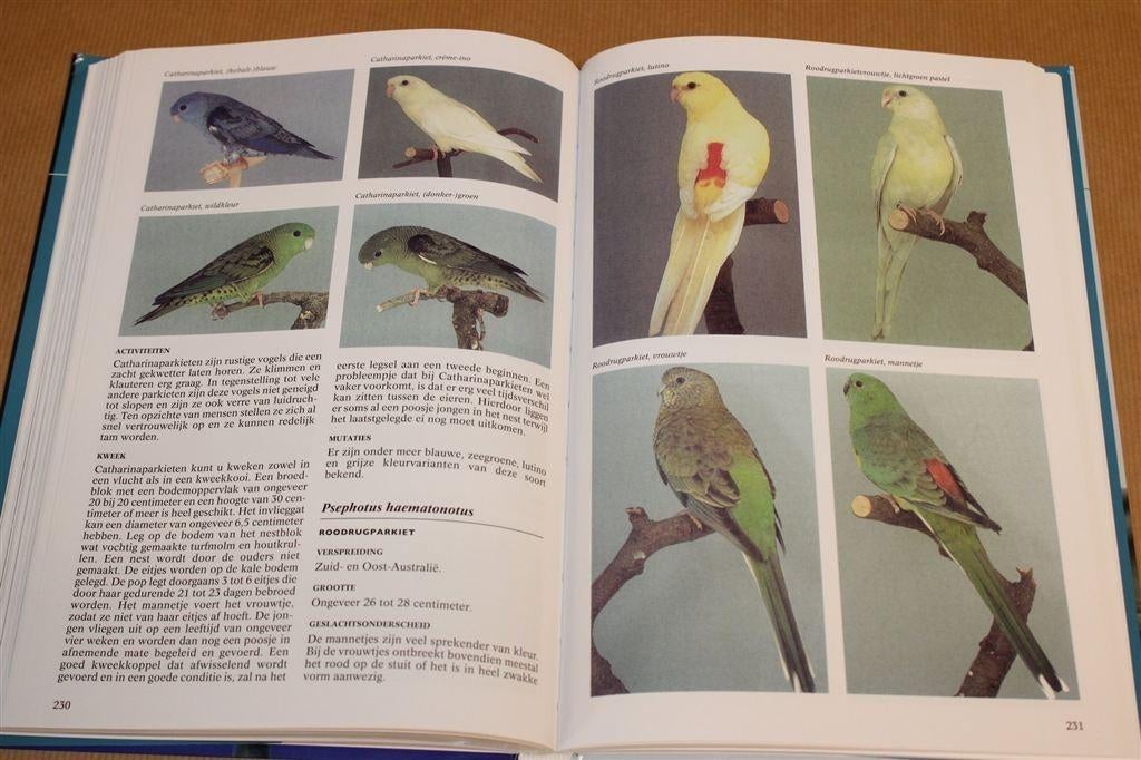 Kooi en Volière Vogels Encyclopedie — Geïllustreerd, Boeken, Ophalen of Verzenden, Zo goed als nieuw, Vogels