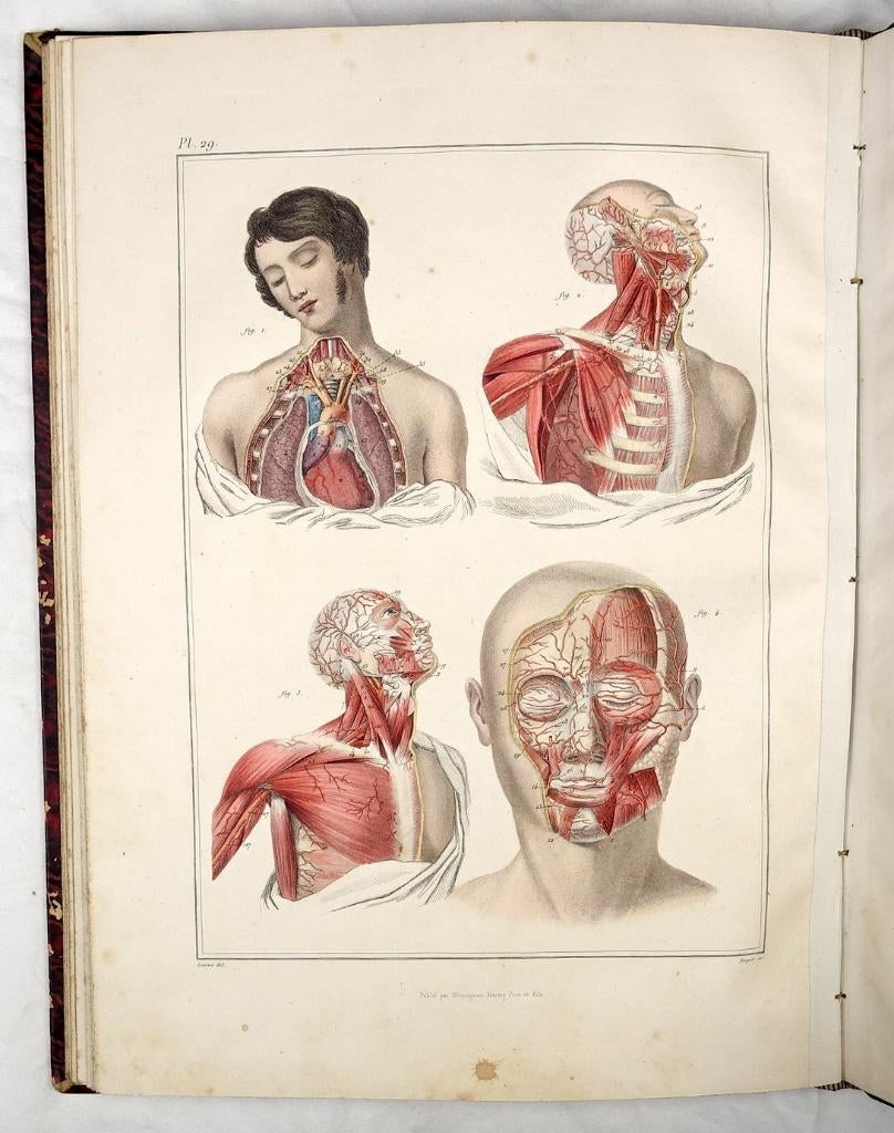 [Anatomie Atlas] Bayle 1839 Atlas Elementaire d’Anatomie, Ophalen of Verzenden
