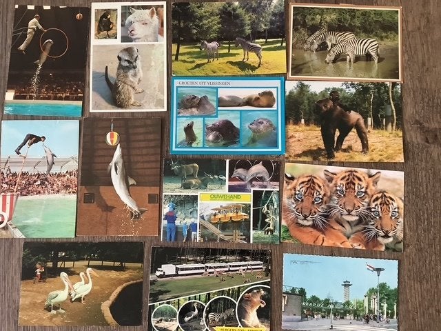 25x Dierentuin Vogelpark-Safaripark-Wildpark-Dolfinarium etc, Ophalen, 1980 tot heden, Gelopen, Overige soorten