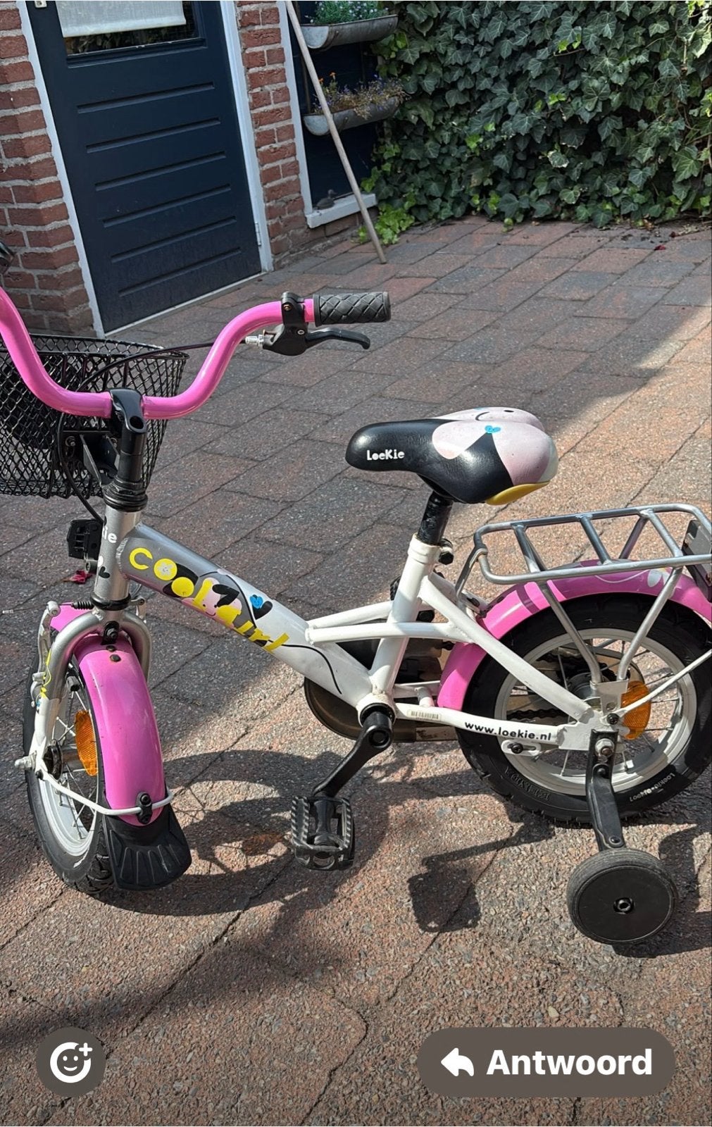 Loekie Kinderfietsje 2-4 jaar - Zo goed als nieuw, Ophalen of Verzenden, Zo goed als nieuw, Minder dan 16 inch, Zijwieltjes