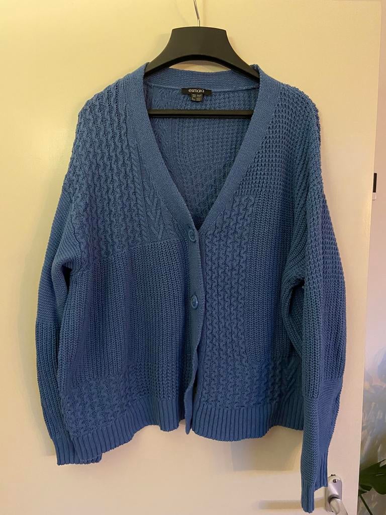 blauw vest maat XL, Maat 42/44 (L), Esmara, Gedragen, Verzenden
