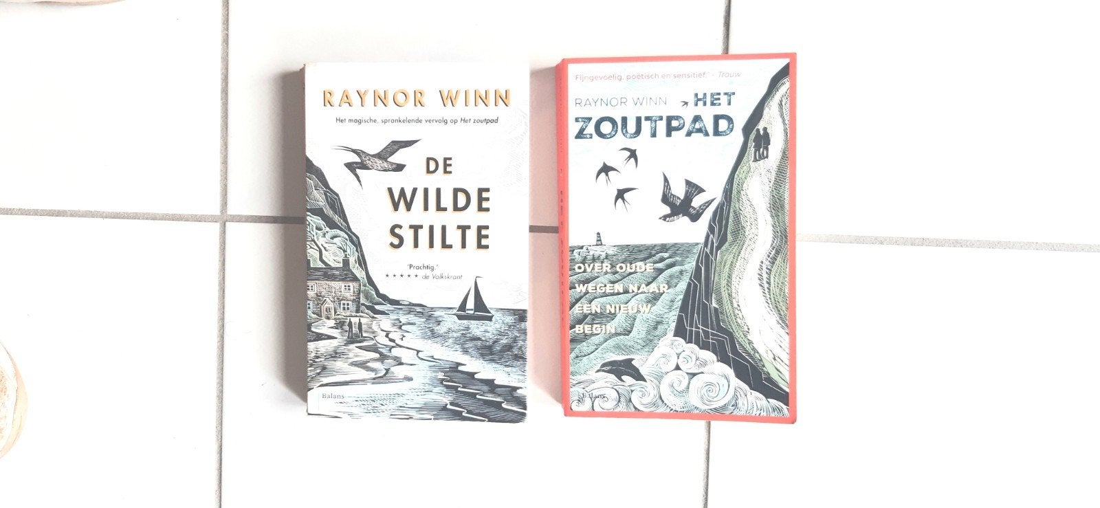 Raynor Winn   - De wilde Stilte en /of Het Zoutpad, Ophalen of Verzenden, Zo goed als nieuw