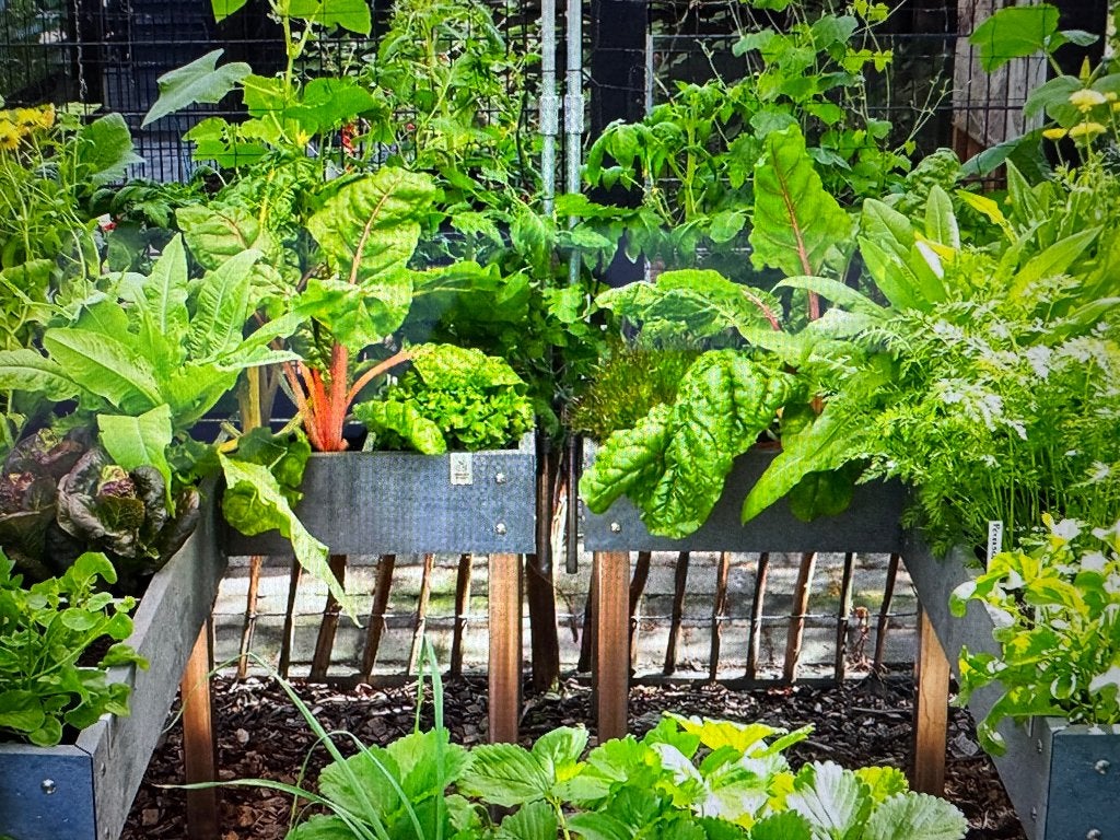 Twee nieuwe Makkelijke Moestuin MM-Hero tafels - 8 vakken, Tuin en Terras, Ophalen, Nieuw, Kweekbak