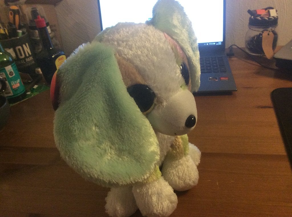 Knuffel hond pastelkleuren, Grote ogen. Lumo Stars, Nieuw, Nieuw, Met label, Meerkleurig, Hond