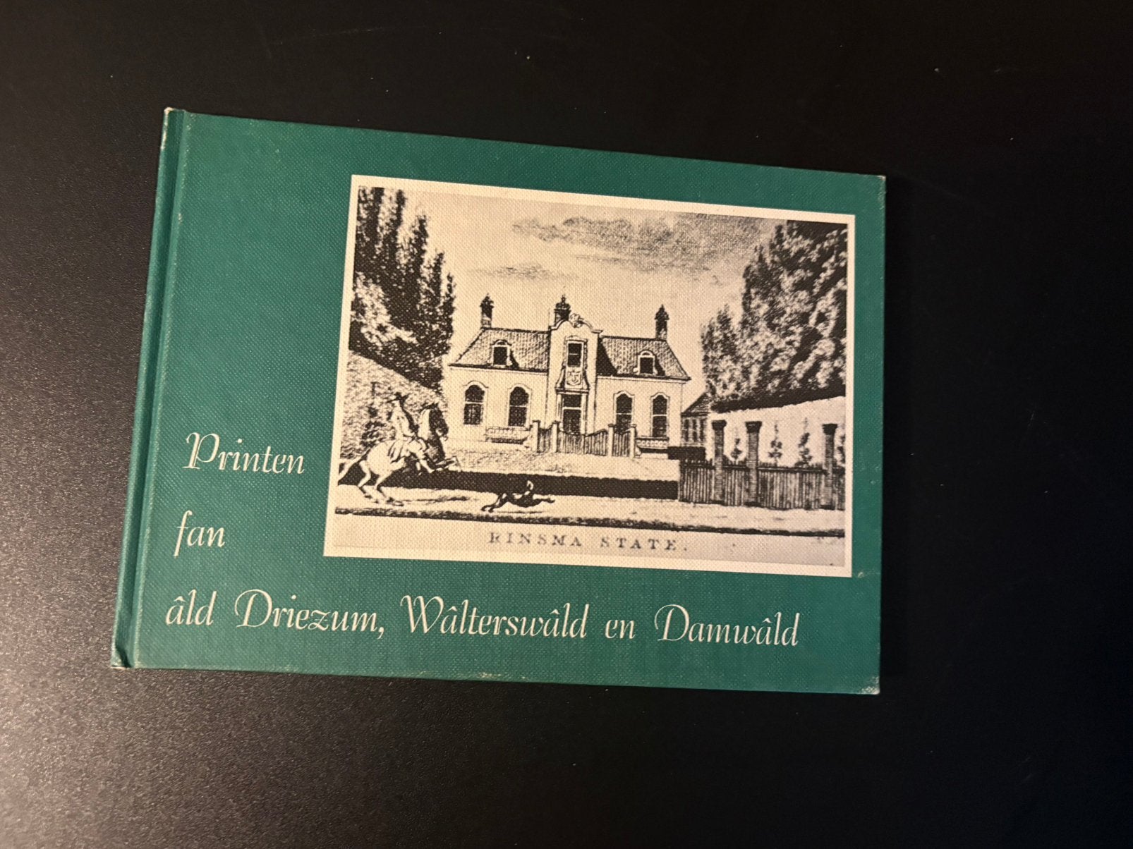 Uniek Fries Historisch Fotoboek (1980), Ophalen of Verzenden, Gelezen, Overige typen