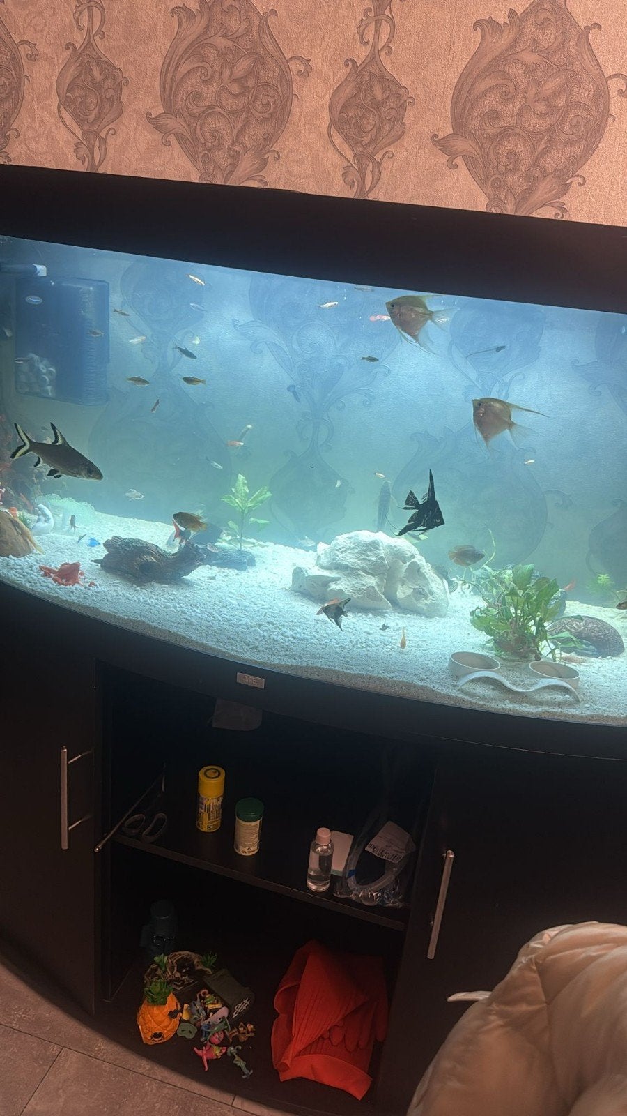 Aquarium Juwel, Dieren en Toebehoren, Ophalen, Gebruikt, Leeg aquarium, Verwarming