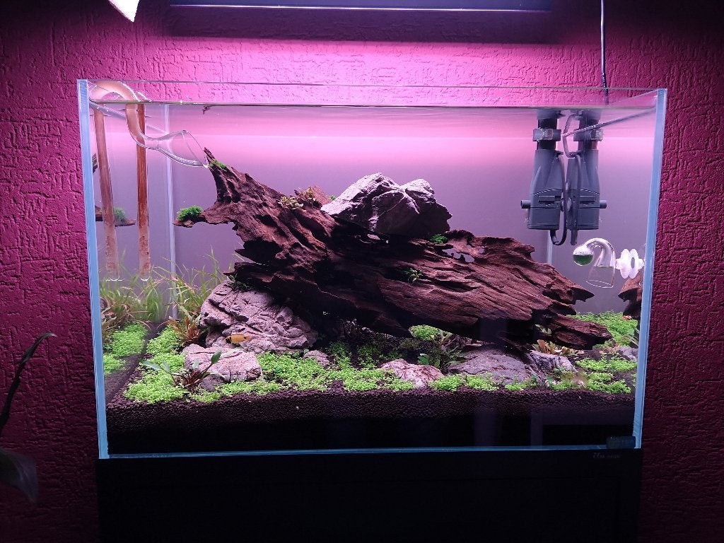 Ila optic white aquascapeset, Ophalen, Zo goed als nieuw, Leeg aquarium, Overige merken