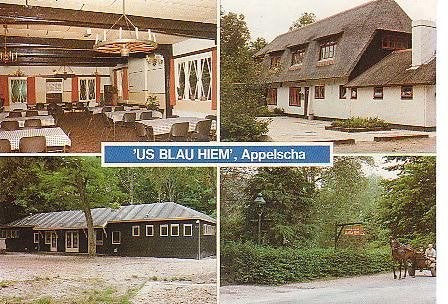 Ansichtkaart 	Appelscha	Us Blau Hiem	Alcoholvrij recr.centr., Verzamelen, Verzenden, 1980 tot heden, Gelopen, Friesland