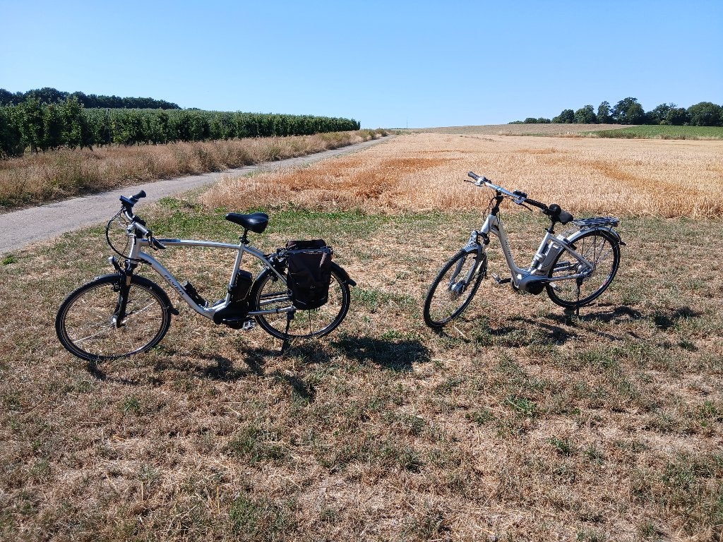 Te koop 2x elektrische fiets flyer heren + damesfiets, Ophalen, Zo goed als nieuw, Overige merken