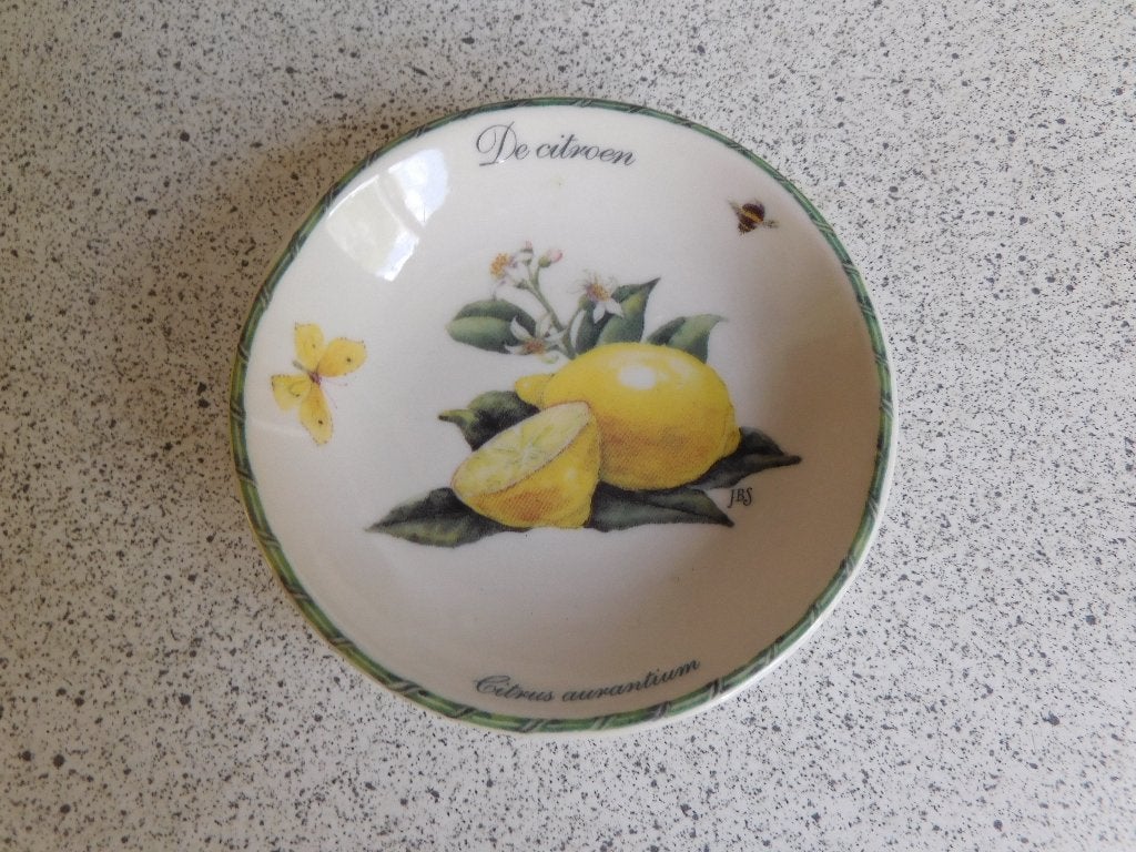 Bord 9 cm. Citroen Botania Janneke Brinkman JBS, Ophalen of Verzenden, Zo goed als nieuw, Bord(en), Overige stijlen