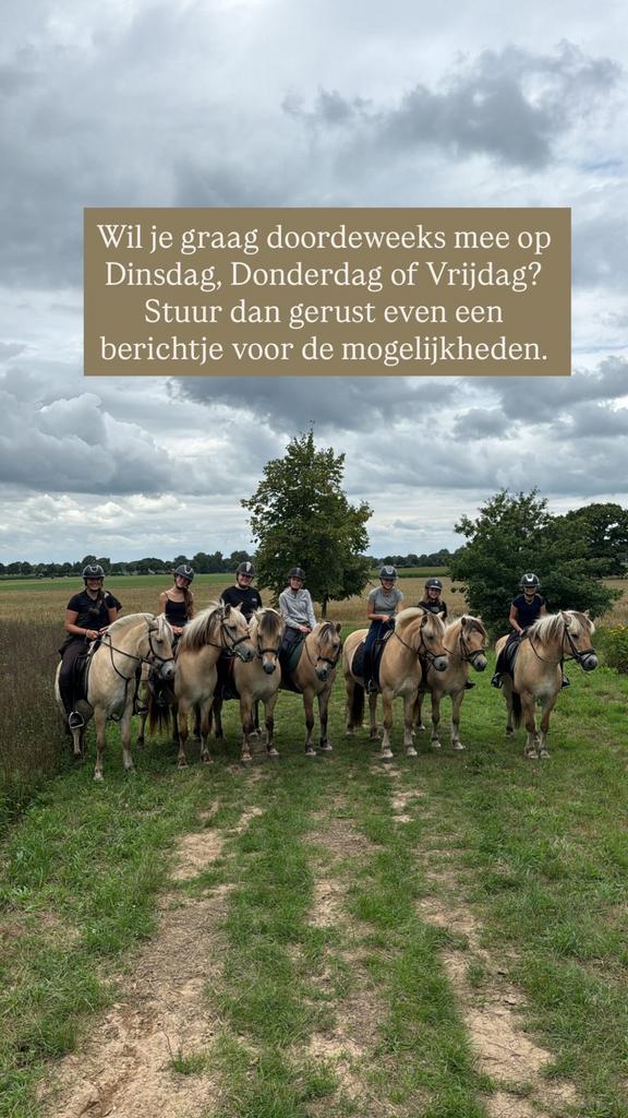 Bosritten montferlandbos
