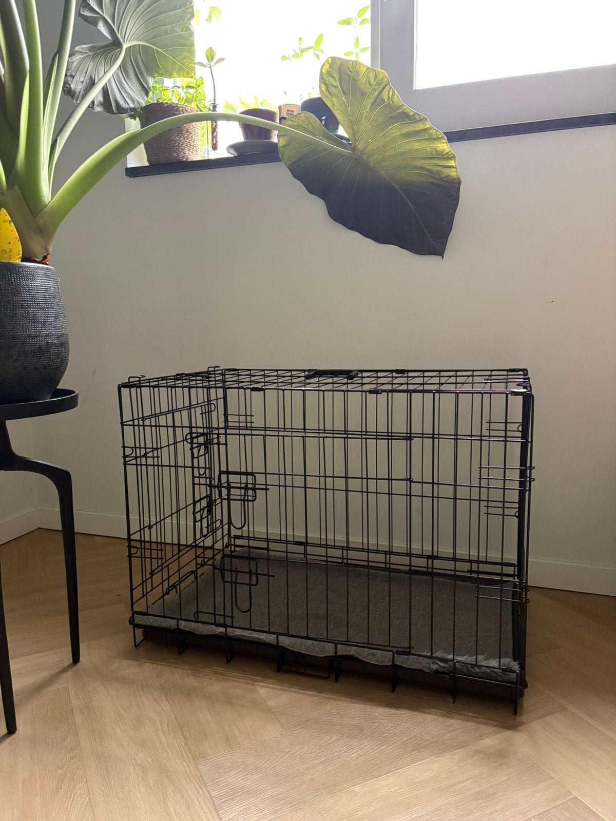 Nieuwe bench voor hond, medium, Ophalen, Nieuw