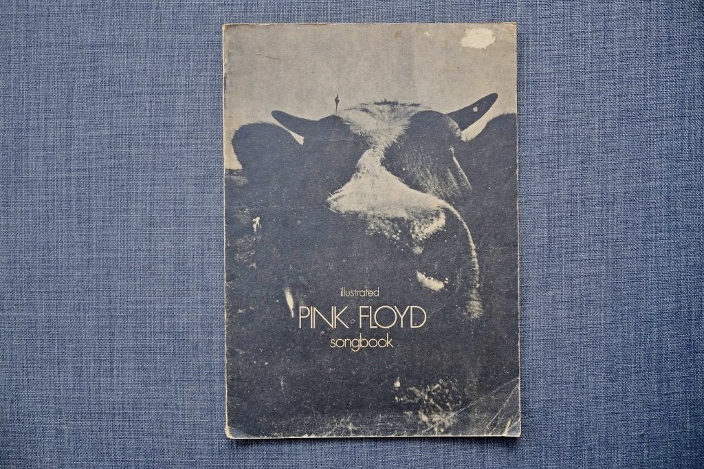 Pink Floyd - illustrated songbook, Boeken, Ophalen of Verzenden, Gelezen, Artiest