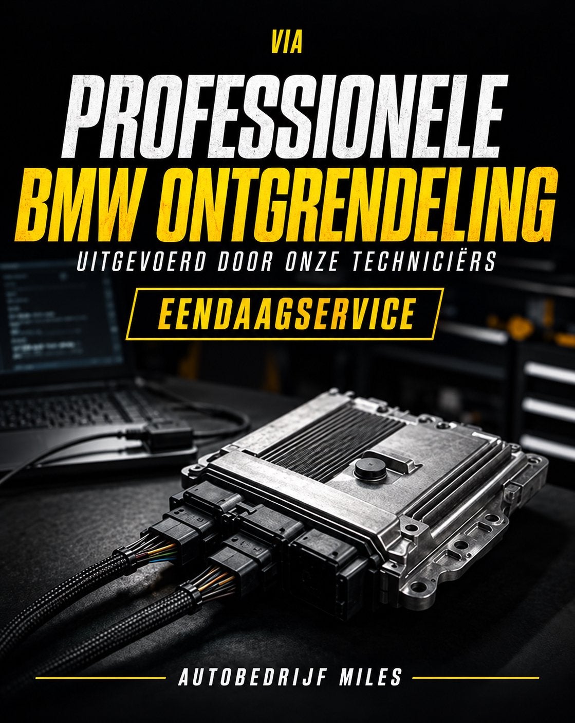 BMW DDE8/DME8 unlock voor Chiptuning, Ophalen