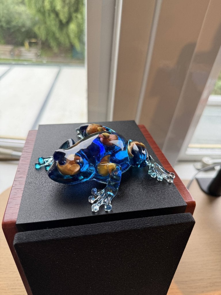 Psychedelische resin kikker met badeendjes, Verzenden, Nieuw, Dier