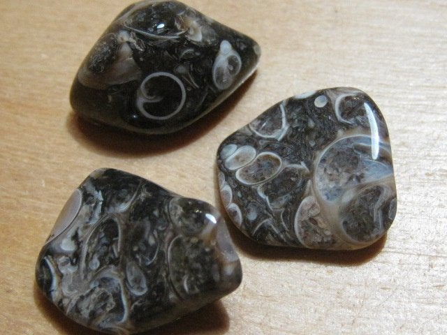 ed. 2x 3 aparte edelstenen TURRITELLA AGAAT (6), Verzenden, Nieuw