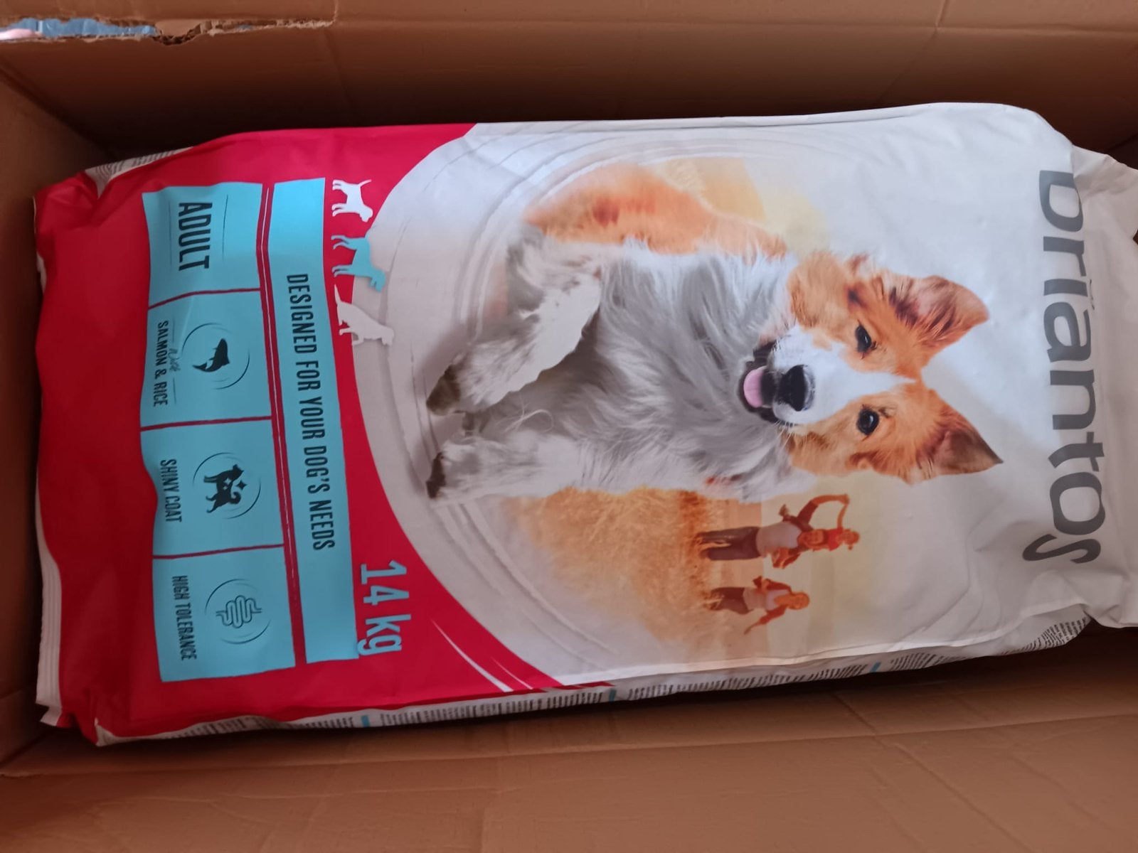 Braintos hondenvoer, Ophalen, Hond