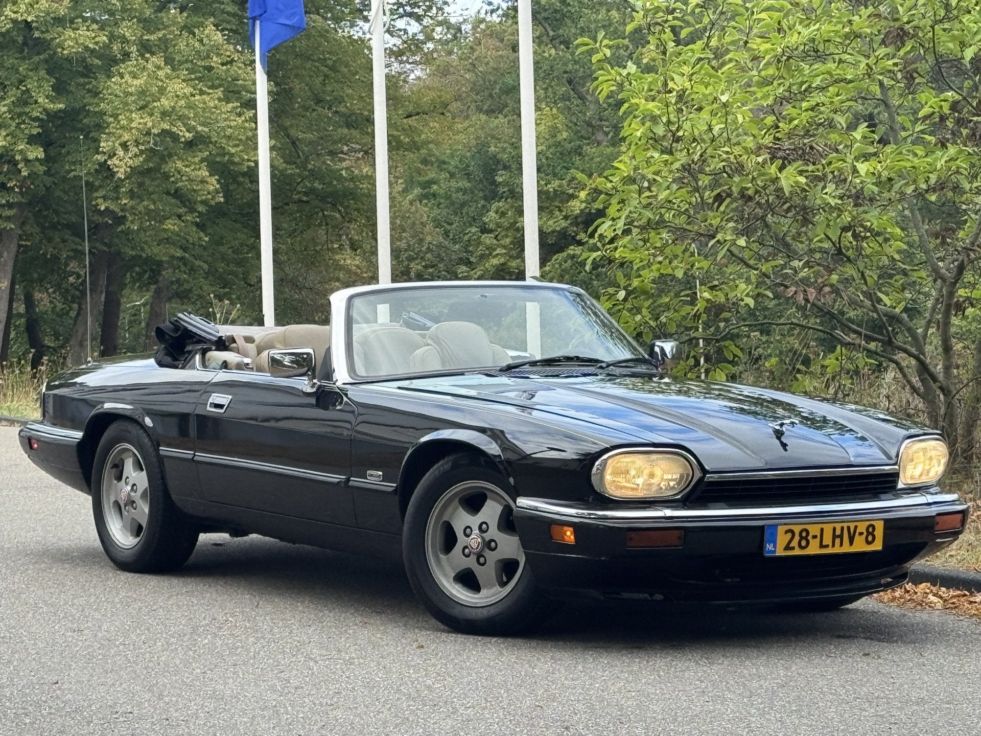 Jaguar XJ-S 4.0 VOL CABRIOLET, 6 CILINDER (bj 1995), foto 6