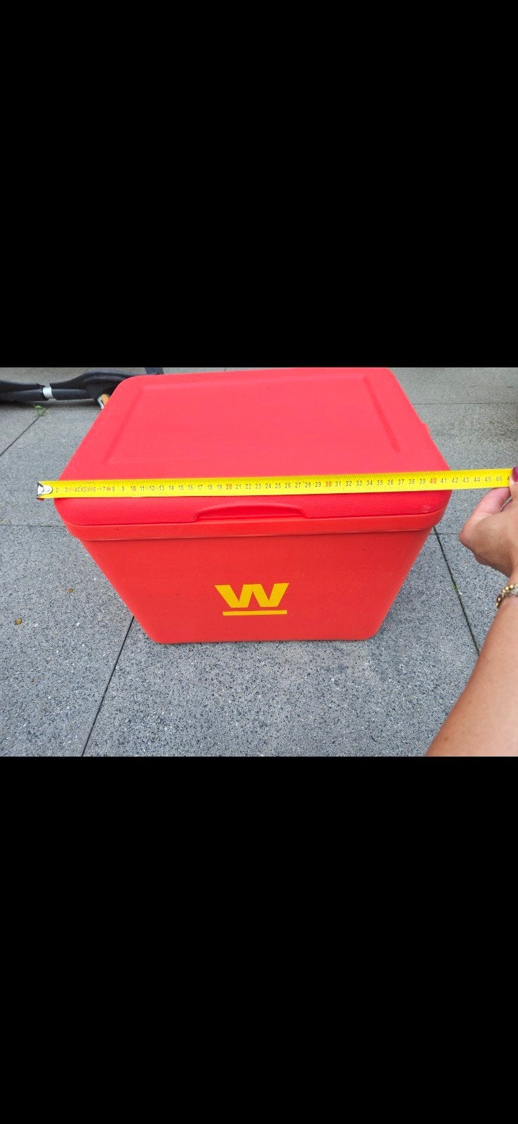 Grote nieuwe koelbox, Ophalen of Verzenden, Nieuw