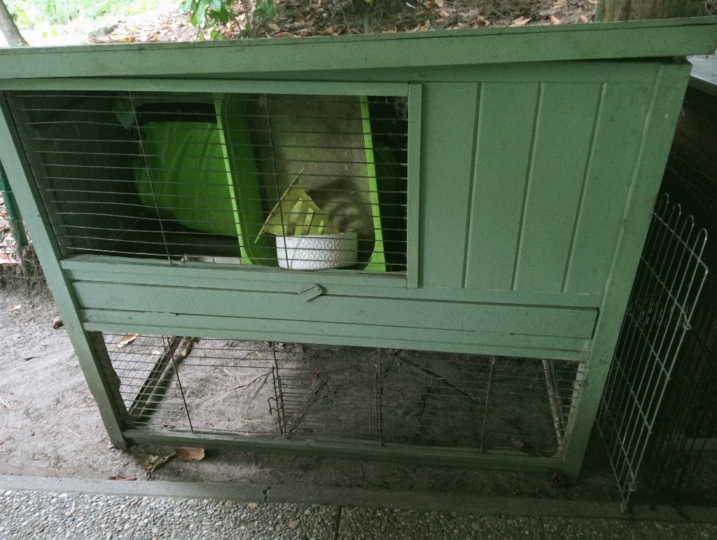 Konijnenhok voor buiten, Dieren en Toebehoren, Ophalen, 60 tot 90 cm, Konijn, Hok
