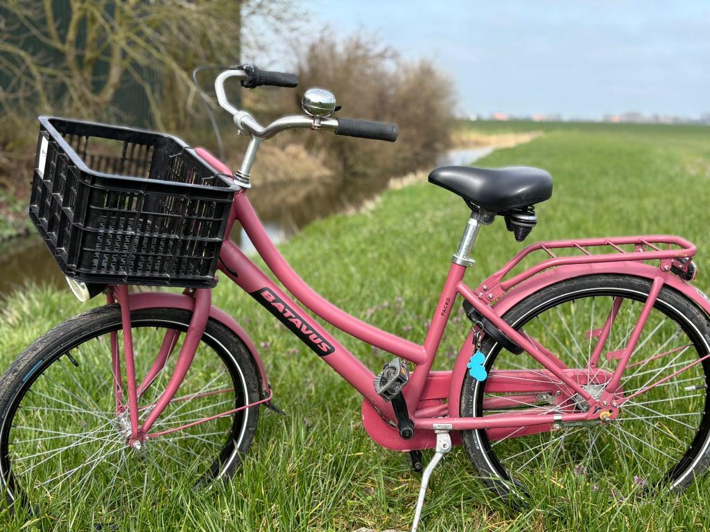 Meisjes fiets Batavus Packd GIRL DR 3 met terugtraprem, Fietsen en Brommers, Fietsen | Meisjes, Ophalen, 24 inch, Versnellingen