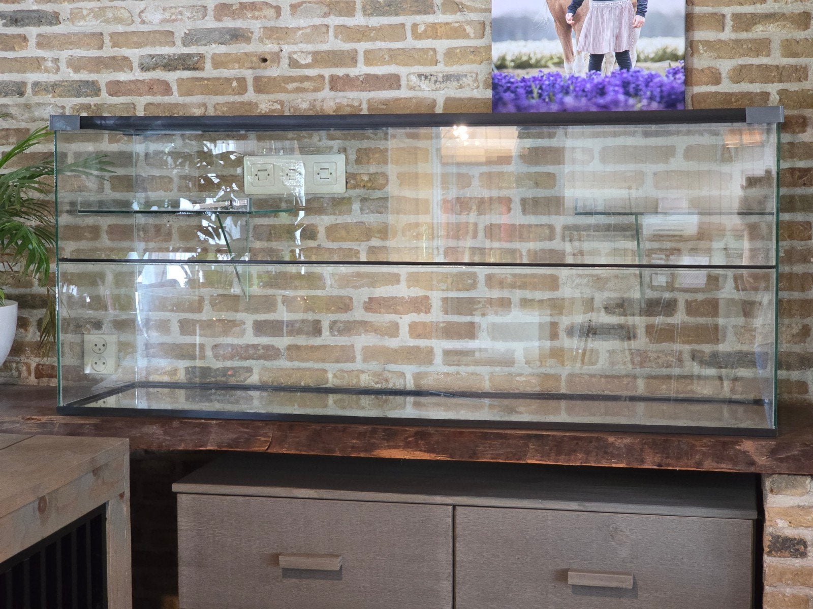 ZGAN Terrarium / Hamsterscaping, Ophalen, Kooi, 110 cm of meer, 60 tot 90 cm
