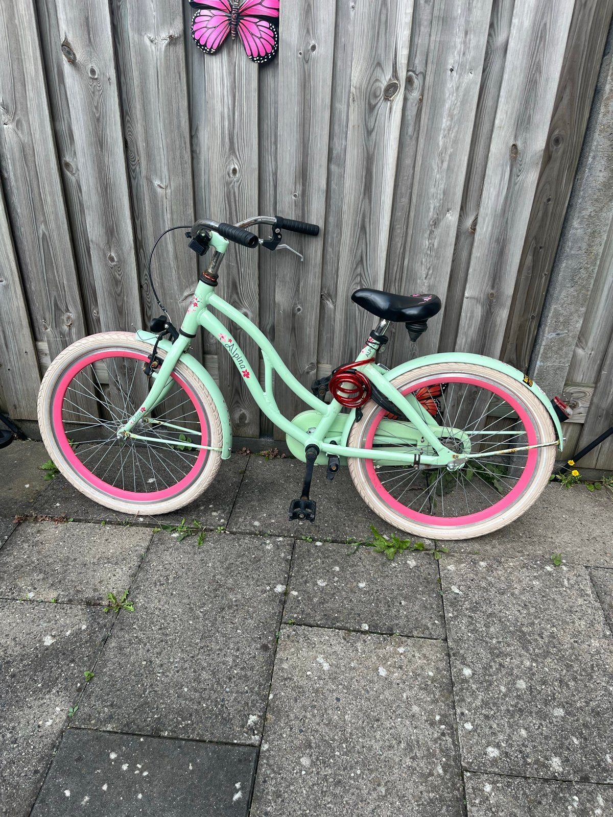 Alpina Clubber meisjesfiets 22 inch - Mintgroen/Roze, Ophalen, Terugtraprem, Handrem, Gebruikt