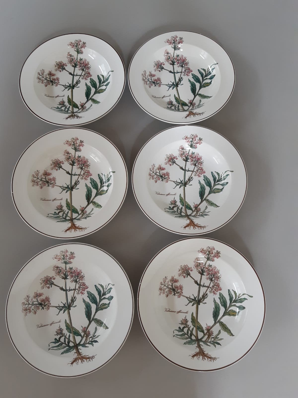 Diepe Borden Villeroy en Boch Botanica, 12 beschikbaar, Ophalen of Verzenden, Zo goed als nieuw, Bord(en), Overige stijlen