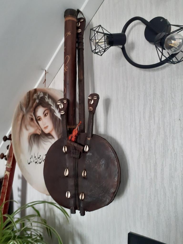 snaarinstrument, Ophalen of Verzenden