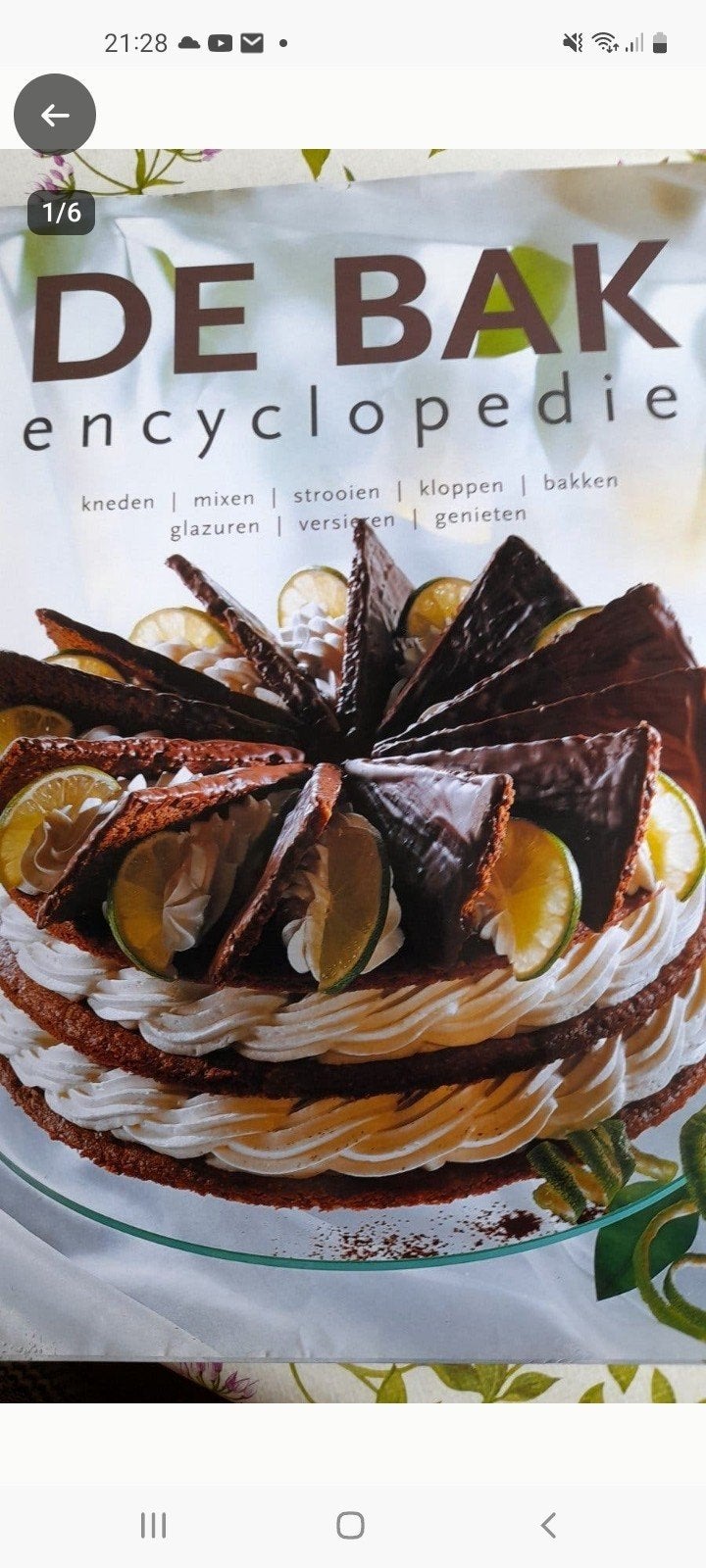 De Bak Encyclopedie, Boeken, Ophalen of Verzenden, Zo goed als nieuw, Taart, Gebak en Desserts