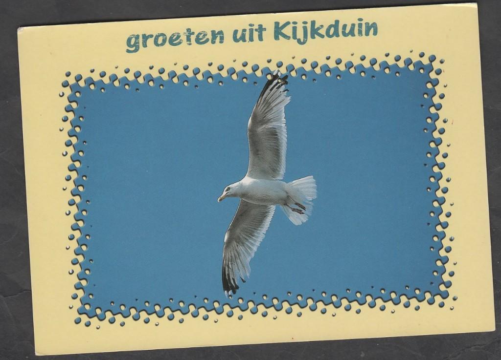 Kijkduin Groeten Meeuw Ongelopen, Verzenden, 1980 tot heden, Ongelopen, Zuid-Holland